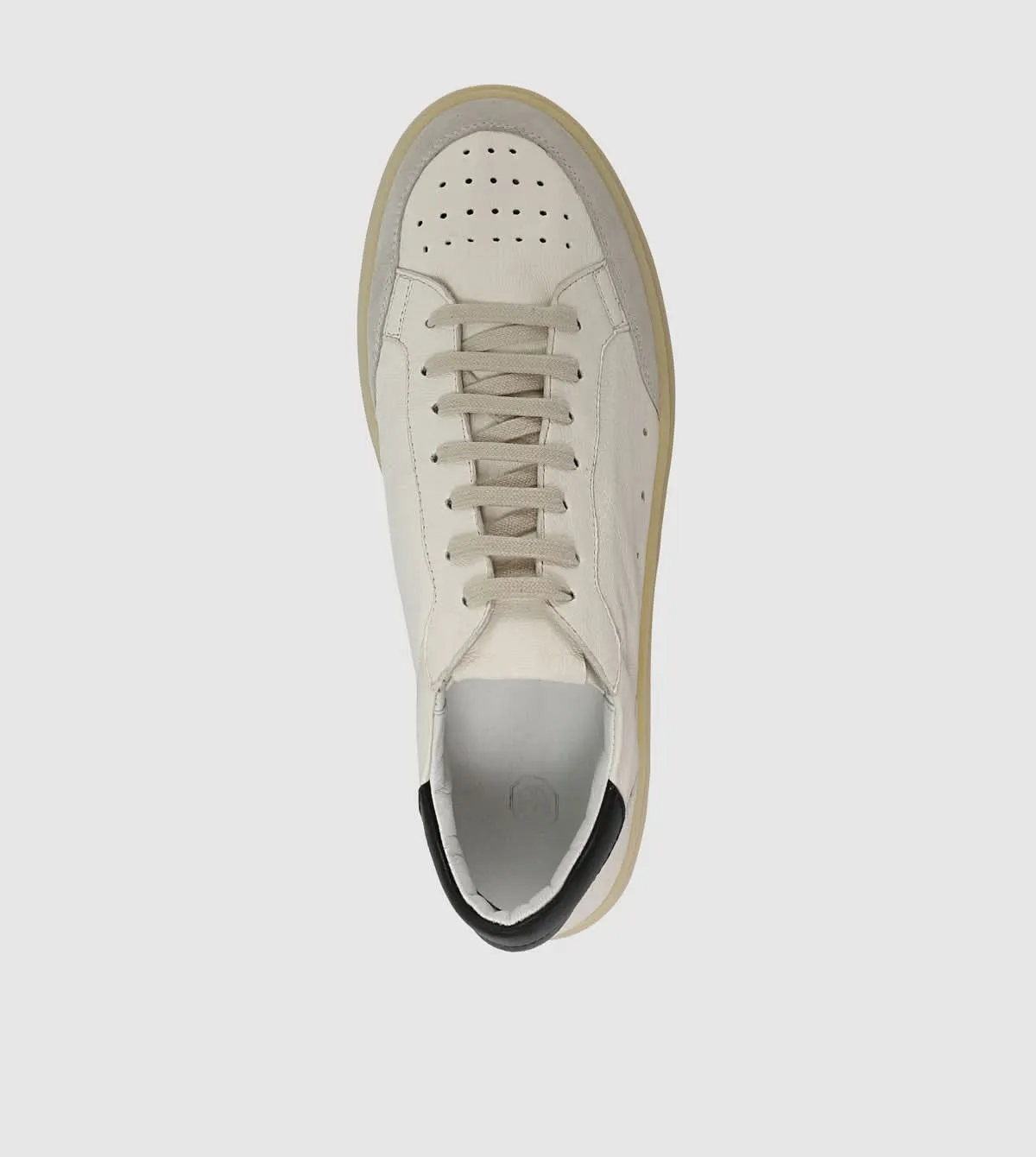 Jensen Low Top sneakers by Brando